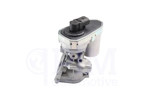 Vanne EGR PIM 40740010