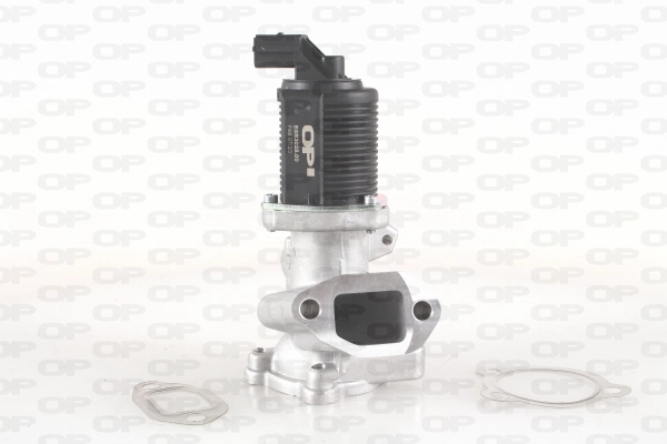 Vanne EGR OPEN PARTS EGR3025.00