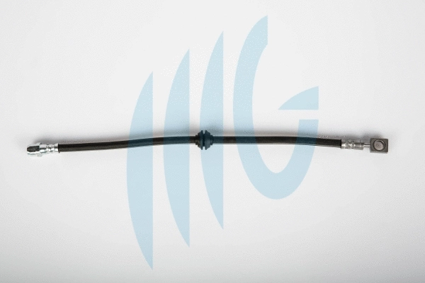 Flexible de frein RICAMBIFLEX GM 02040253