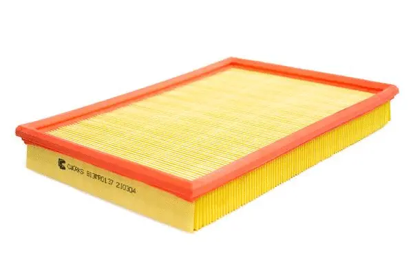 Filtre à air CWORKS B13MR0137