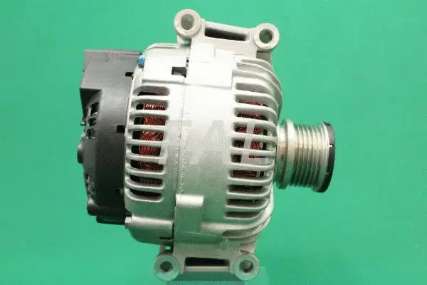 Alternateur FAL Anlasser- und Lichtmaschinenservice F001119/1