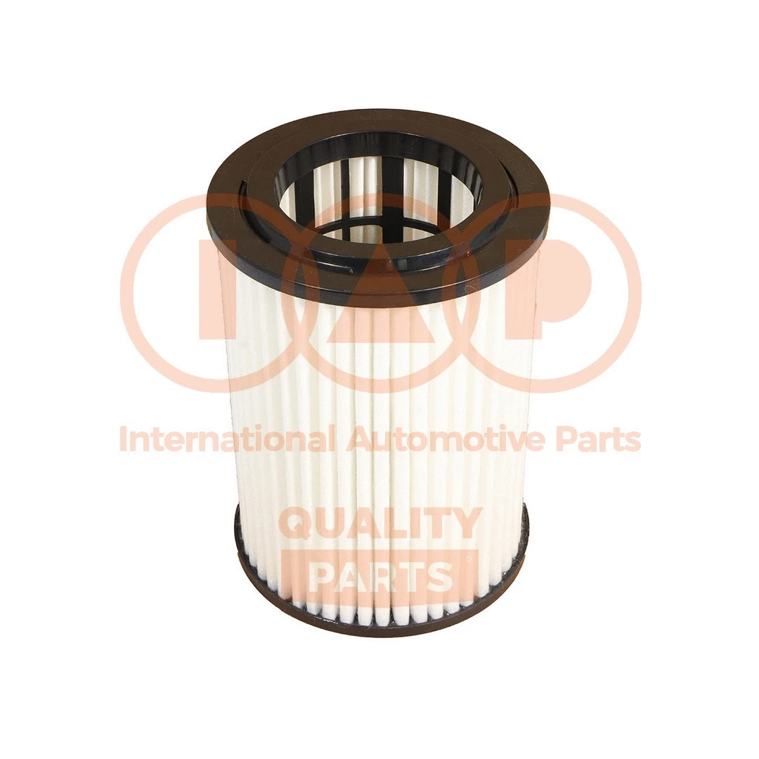 Filtre à air IAP QUALITY PARTS 121-07101