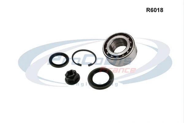Kit de roulements de roue PROCODIS FRANCE R6018