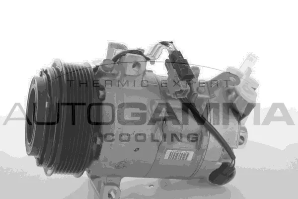 Compresseur, climatisation AUTOGAMMA 118562