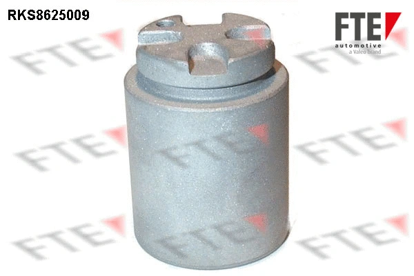 Piston, étrier de frein FTE 9313218