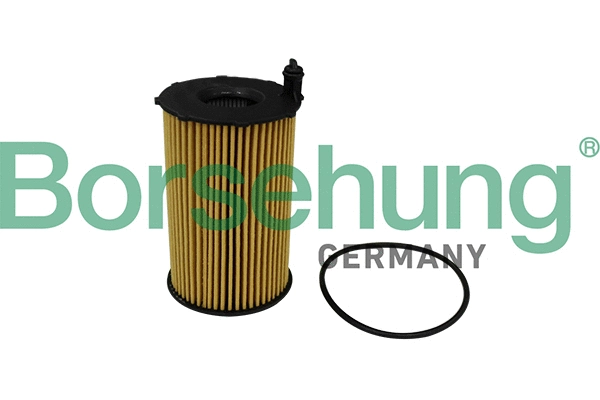 Filtre à huile Borsehung B10540