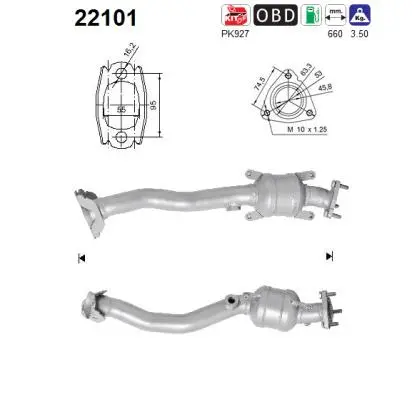 Catalyseur AS 22101
