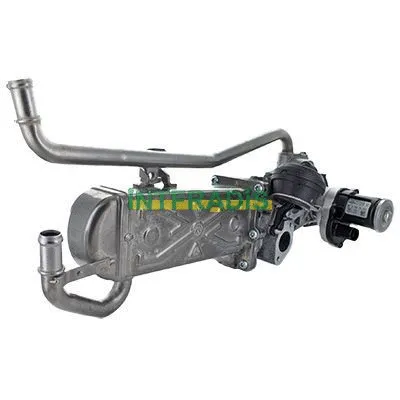 Vanne EGR INTFRADIS 2591