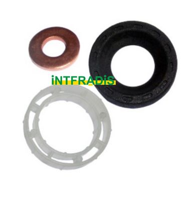 Kit de joints, injecteur INTFRADIS 10199