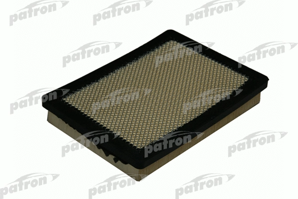 Filtre à air PATRON PF1101