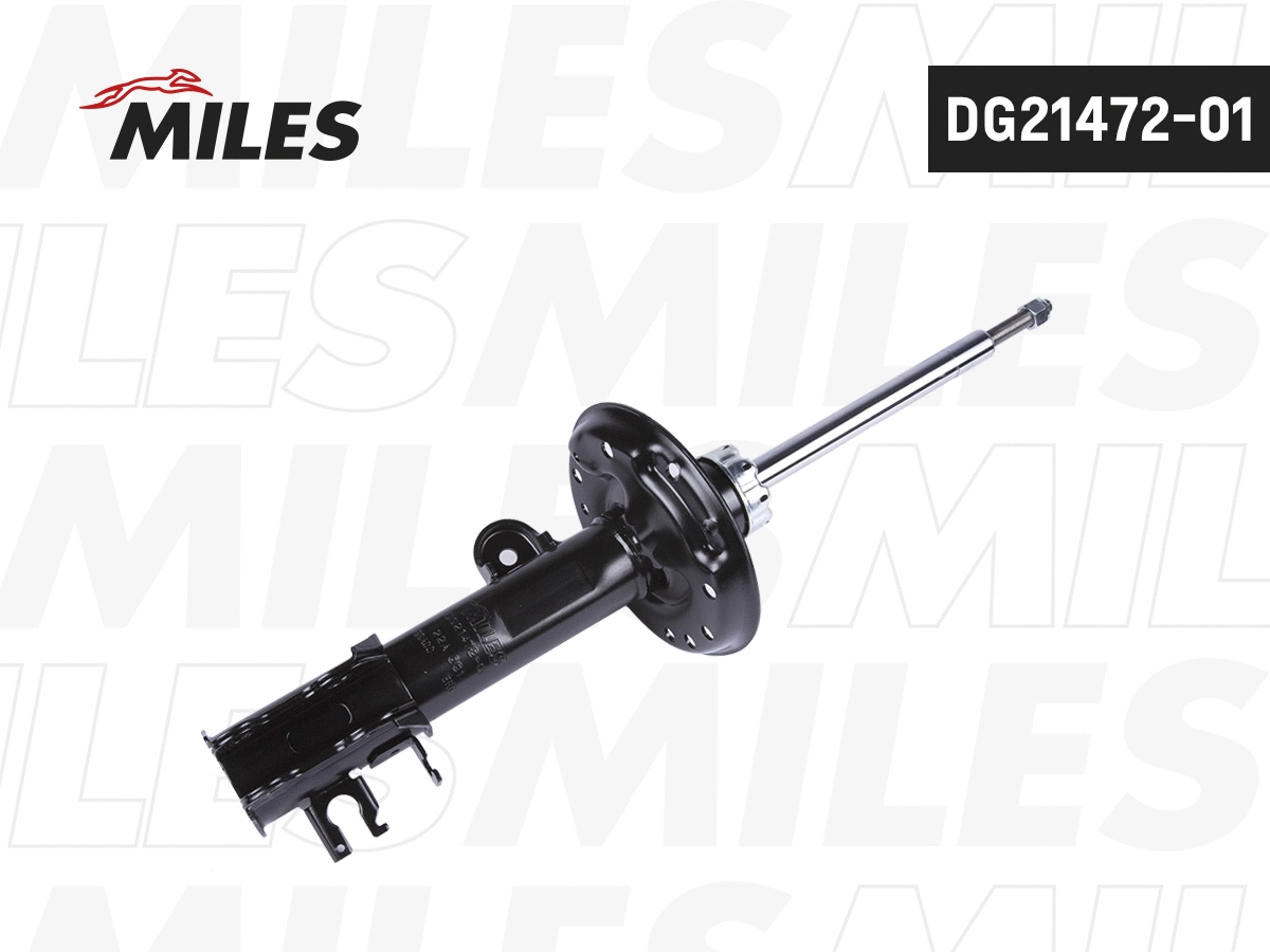 Amortisseur MILES DG21472-01