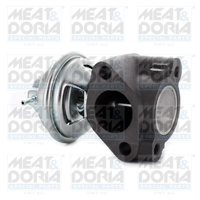 Vanne EGR MEAT & DORIA 88738