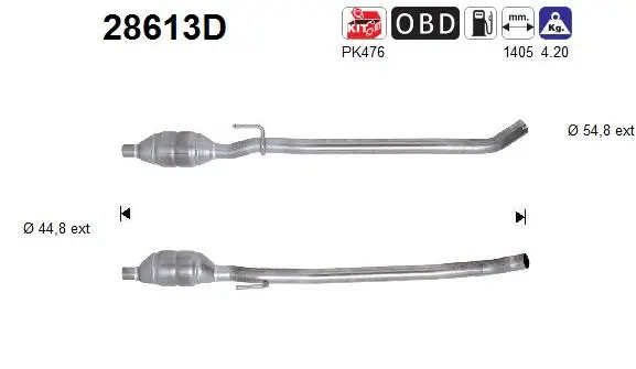 Catalyseur AS 28613D