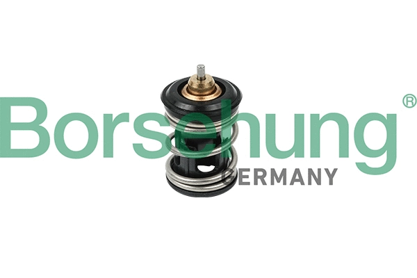 Thermostat, liquide de refroidissement Borsehung B18261