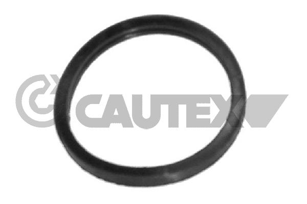 Joint, thermostat CAUTEX 952039