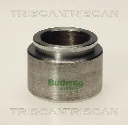 Piston, étrier de frein TRISCAN 8170 234015