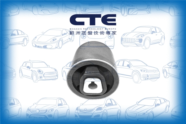 Suspension, bras de liaison CTE CBH09049