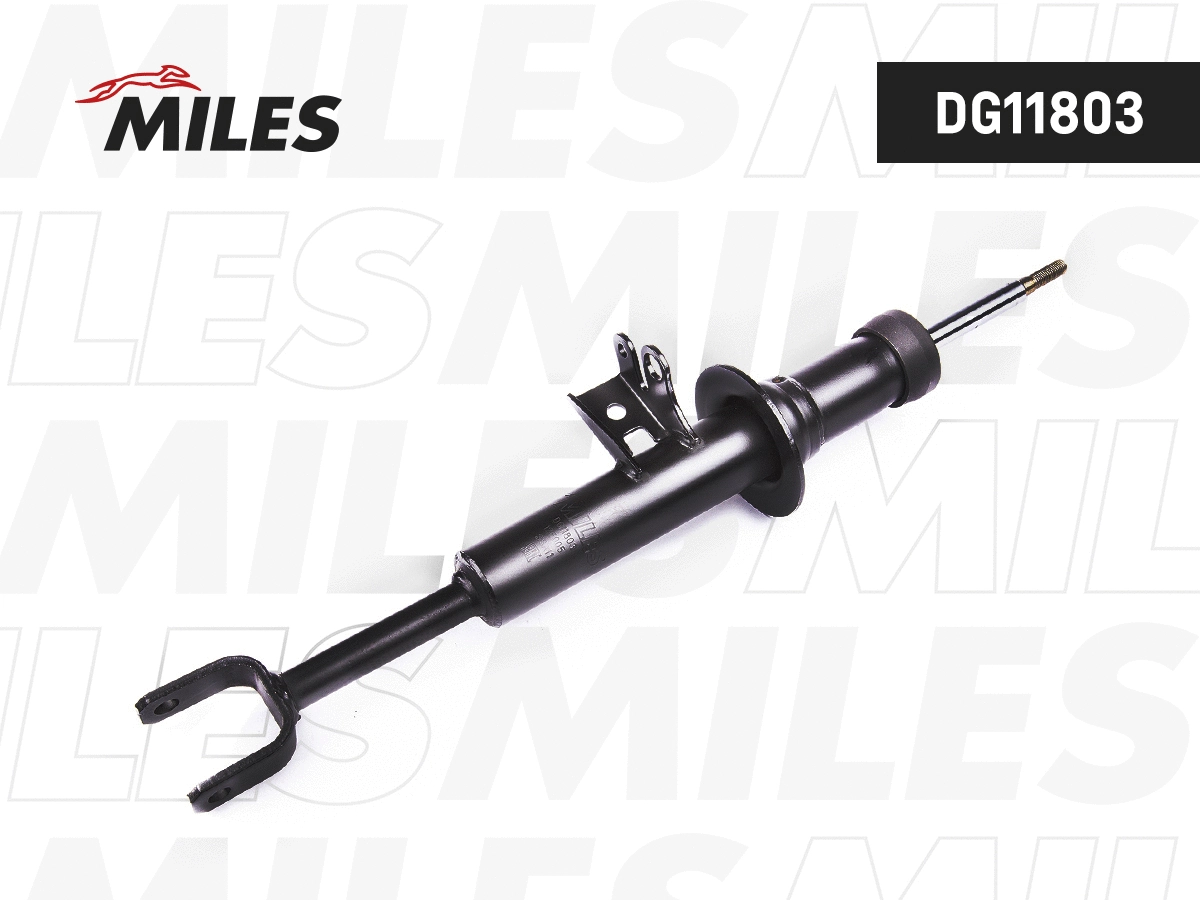 Amortisseur MILES DG11803