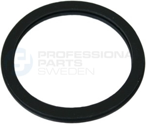 Joint, thermostat Professional Parts 21432214