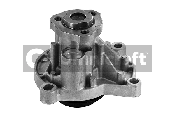Pompe à eau, refroidissement du moteur Omnicraft 2316910