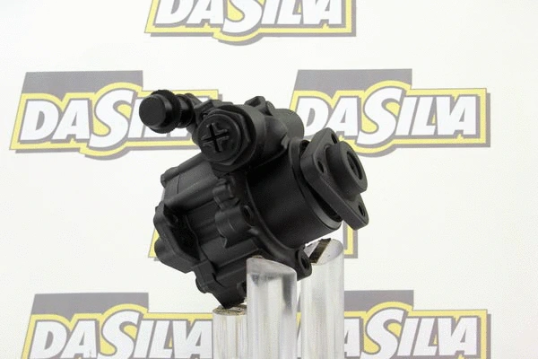 Pompe hydraulique, direction DA SILVA DP3038