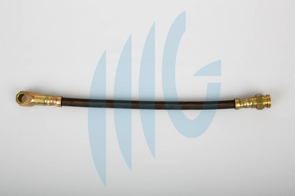 Flexible de frein RICAMBIFLEX GM 02480914