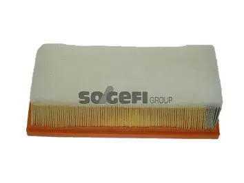 Filtre à air FRAM CA10224