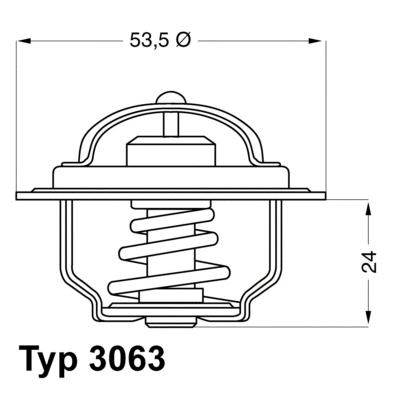 Thermostat, liquide de refroidissement BorgWarner (Wahler) 3063.75