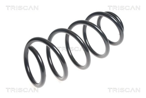 Ressort de suspension TRISCAN 8750 43118