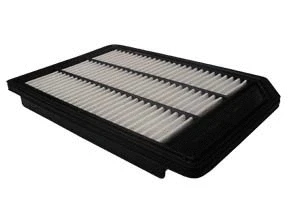 Filtre à air ACDelco Oceania ACA300