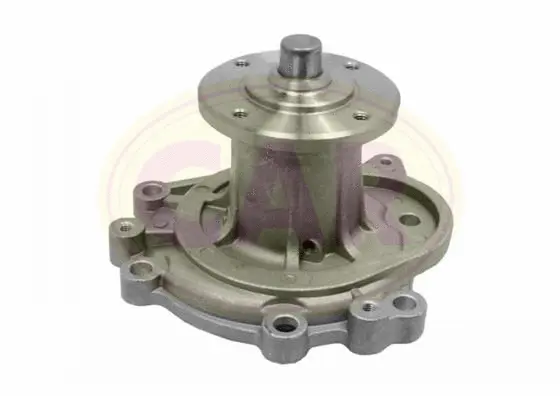 Pompe à eau, refroidissement du moteur CAR 332113