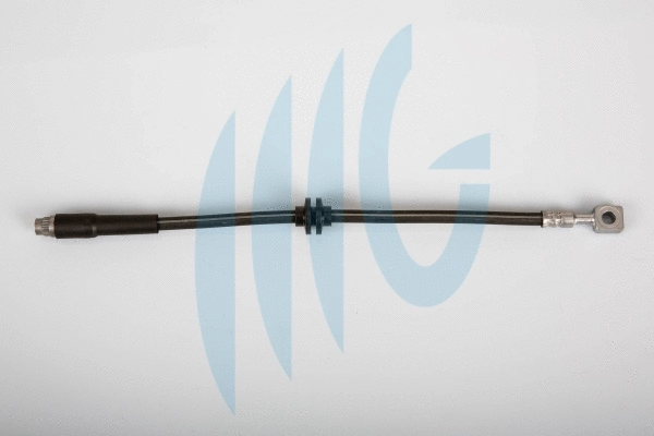 Flexible de frein RICAMBIFLEX GM 02070023