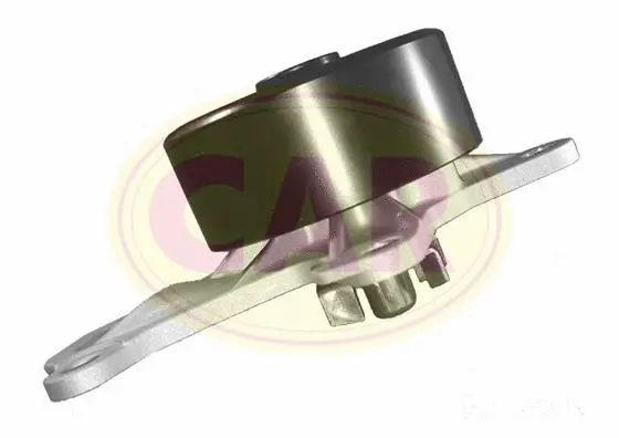 Pompe à eau, refroidissement du moteur CAR 332827