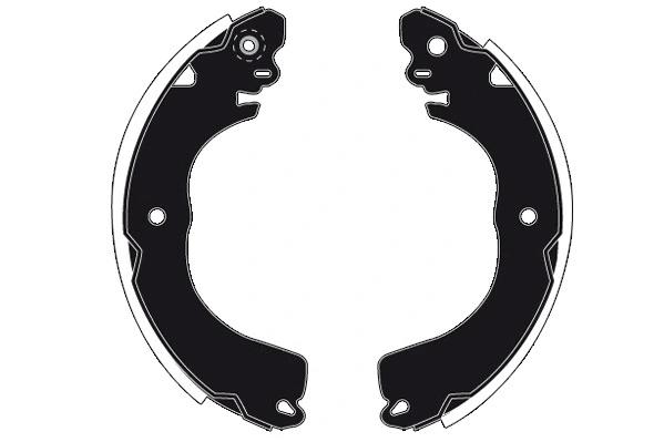 Jeu de mâchoires de frein RAICAM RA29890