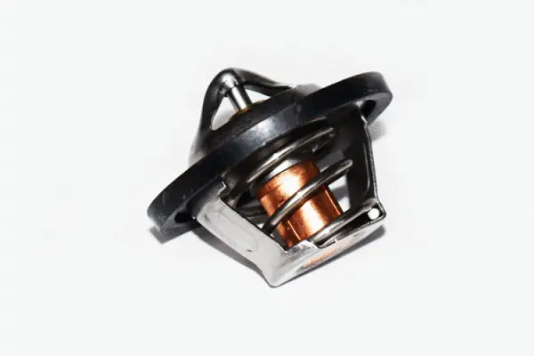Thermostat, liquide de refroidissement ASAM AUTOMOTIVE 73347