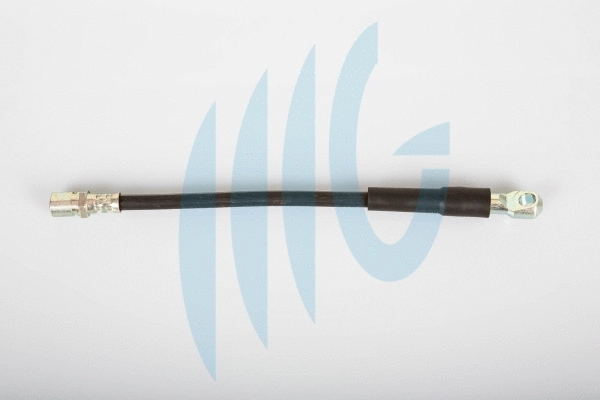 Flexible de frein RICAMBIFLEX GM 02120197