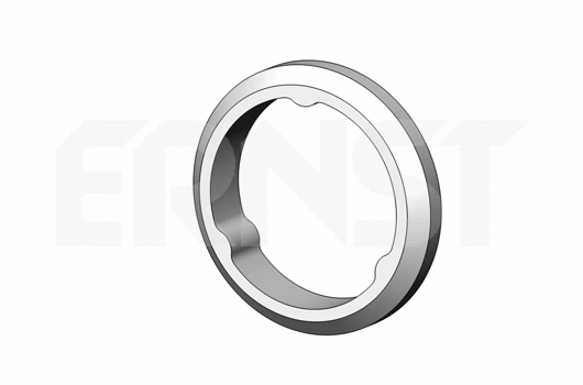 Bague d'étanchéité, tuyau d'échappement ERNST 498715