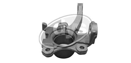 Fusée d'essieu, suspension de roue DYS 79-04418L