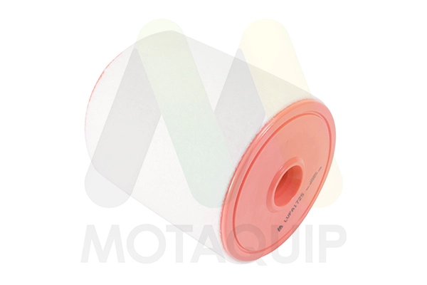 Filtre à air MOTAQUIP LVFA1725