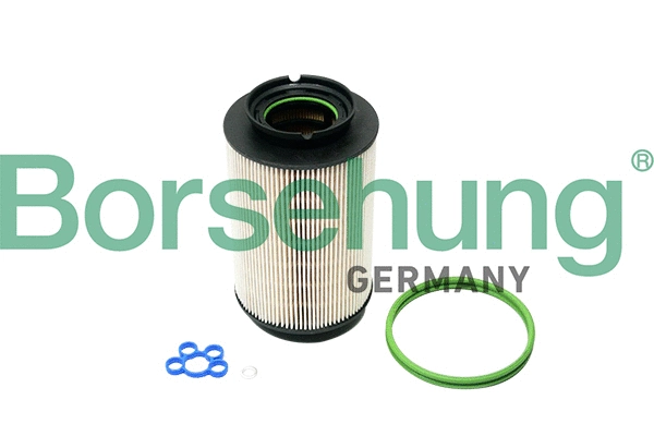 Filtre à carburant Borsehung B10550