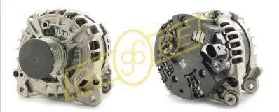 Alternateur GEBE 6 8063 1