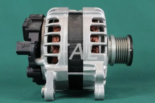 Alternateur FAL Anlasser- und Lichtmaschinenservice F012854/1