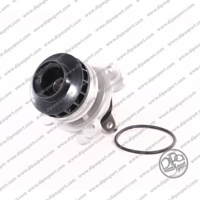 Pompe à eau, refroidissement du moteur DIPASPORT PAA129VLON