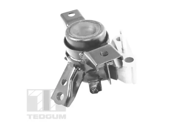 Support moteur TEDGUM TED13922