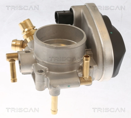 Corps papillon TRISCAN 8820 24001