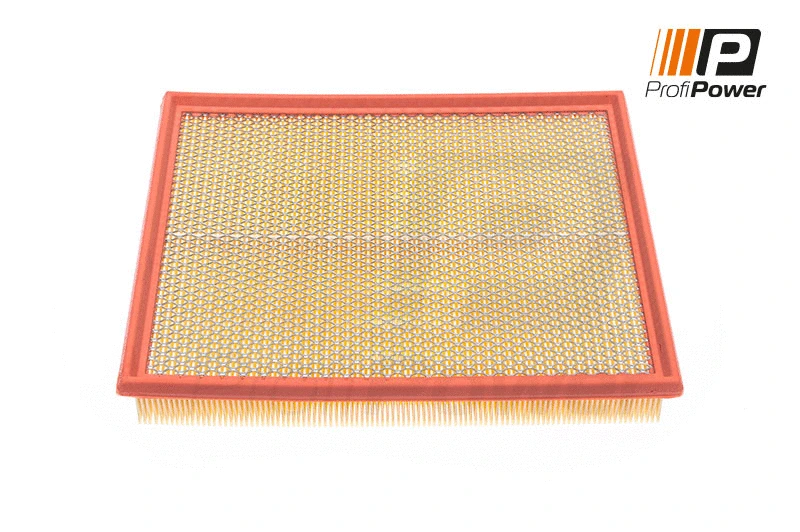 Filtre à air ProfiPower 2F0010