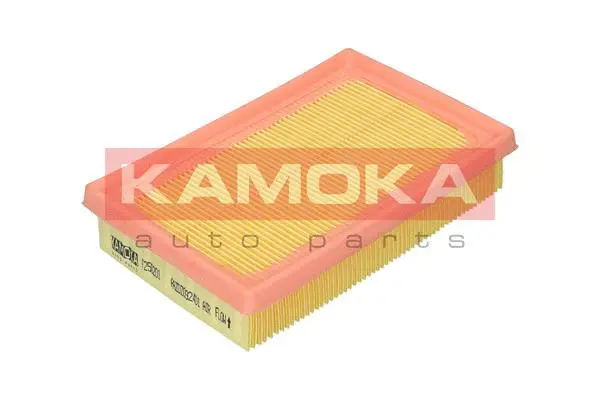 Filtre à air KAMOKA F250201