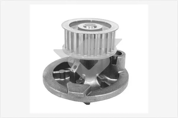Pompe à eau, refroidissement du moteur HUTCHINSON WP0050V