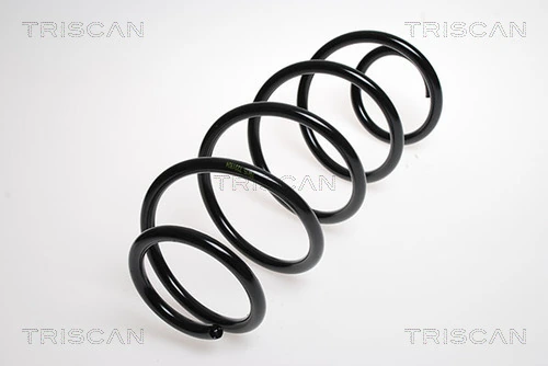 Ressort de suspension TRISCAN 8750 1025