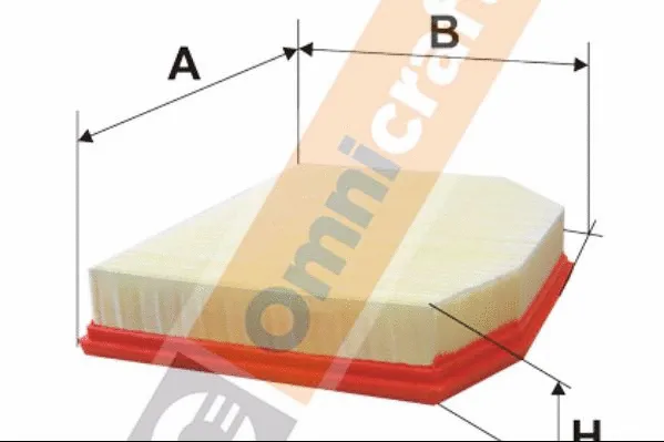 Filtre à air Omnicraft 2133802